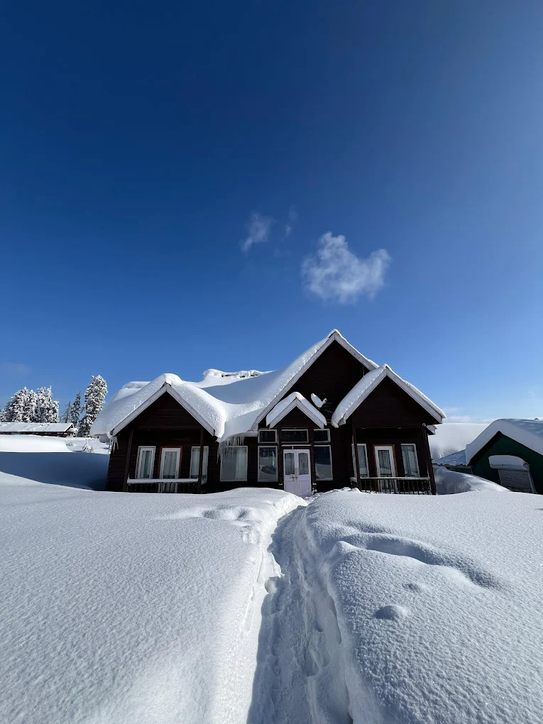 Gulmarg Woods