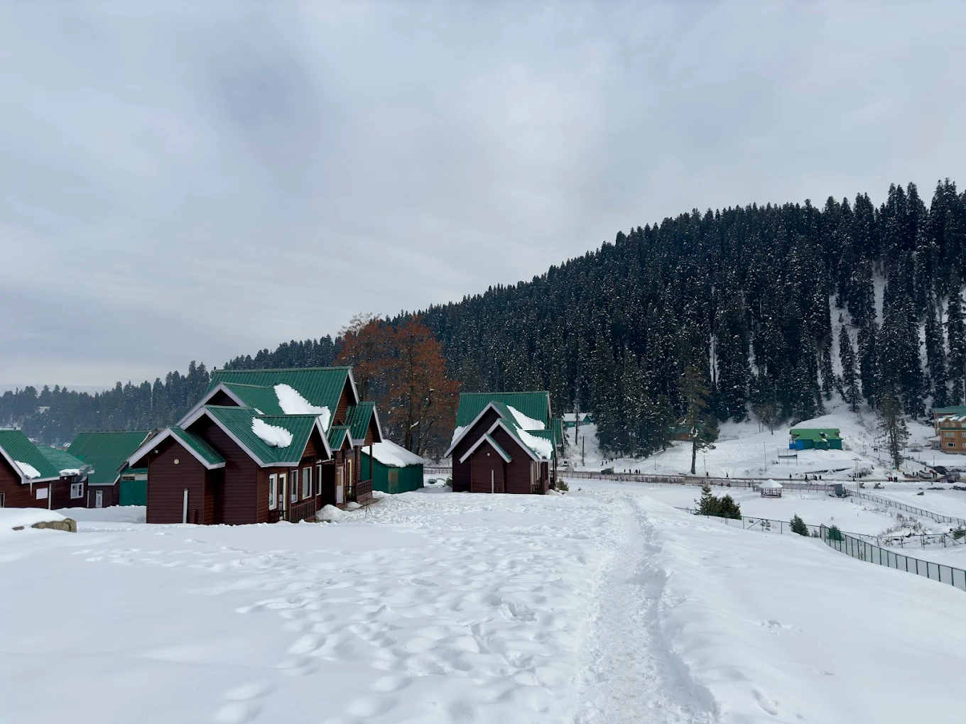 Gulmarg Woods Side Image 1