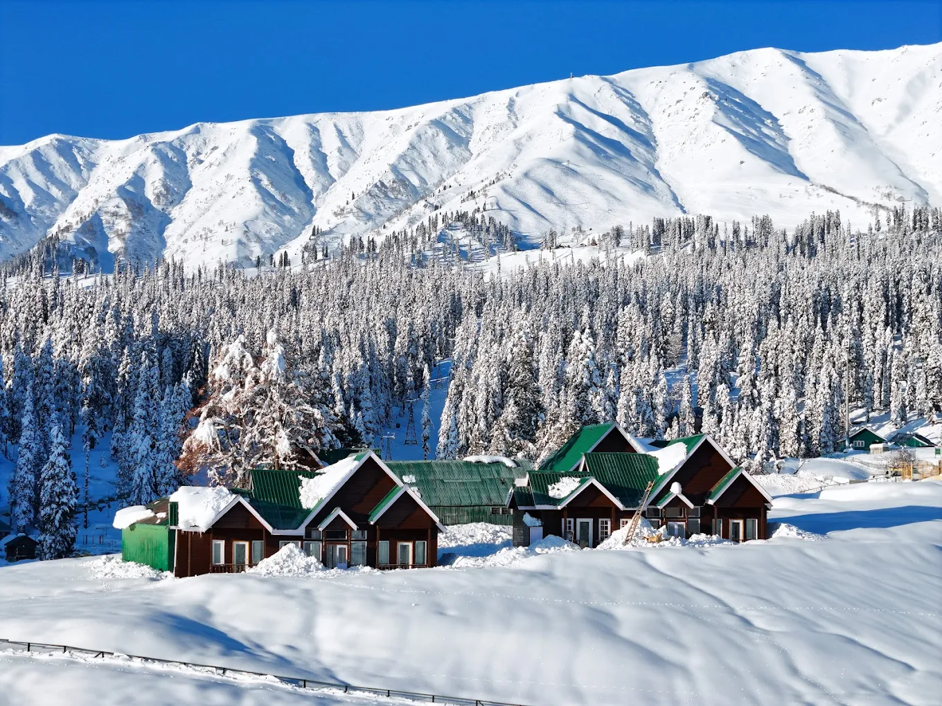 Gulmarg Woods Side Image 2