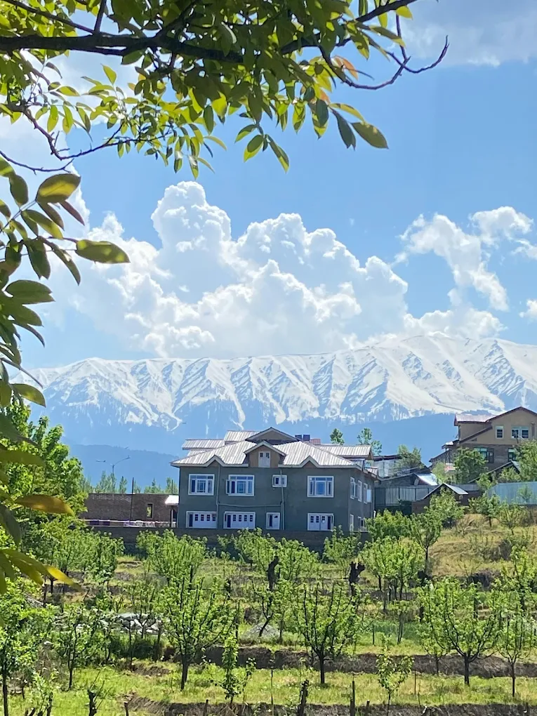 Hotel Gulmarg Palace Side Image 1