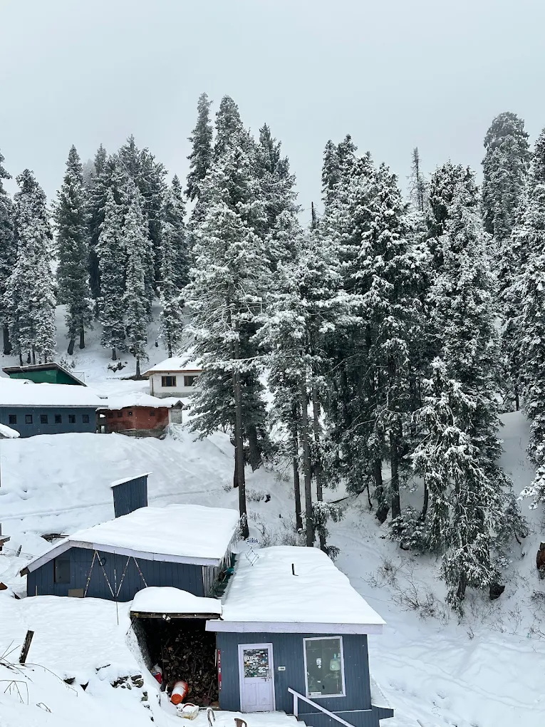 Hotel Yemberzal Gulmarg Side Image 2