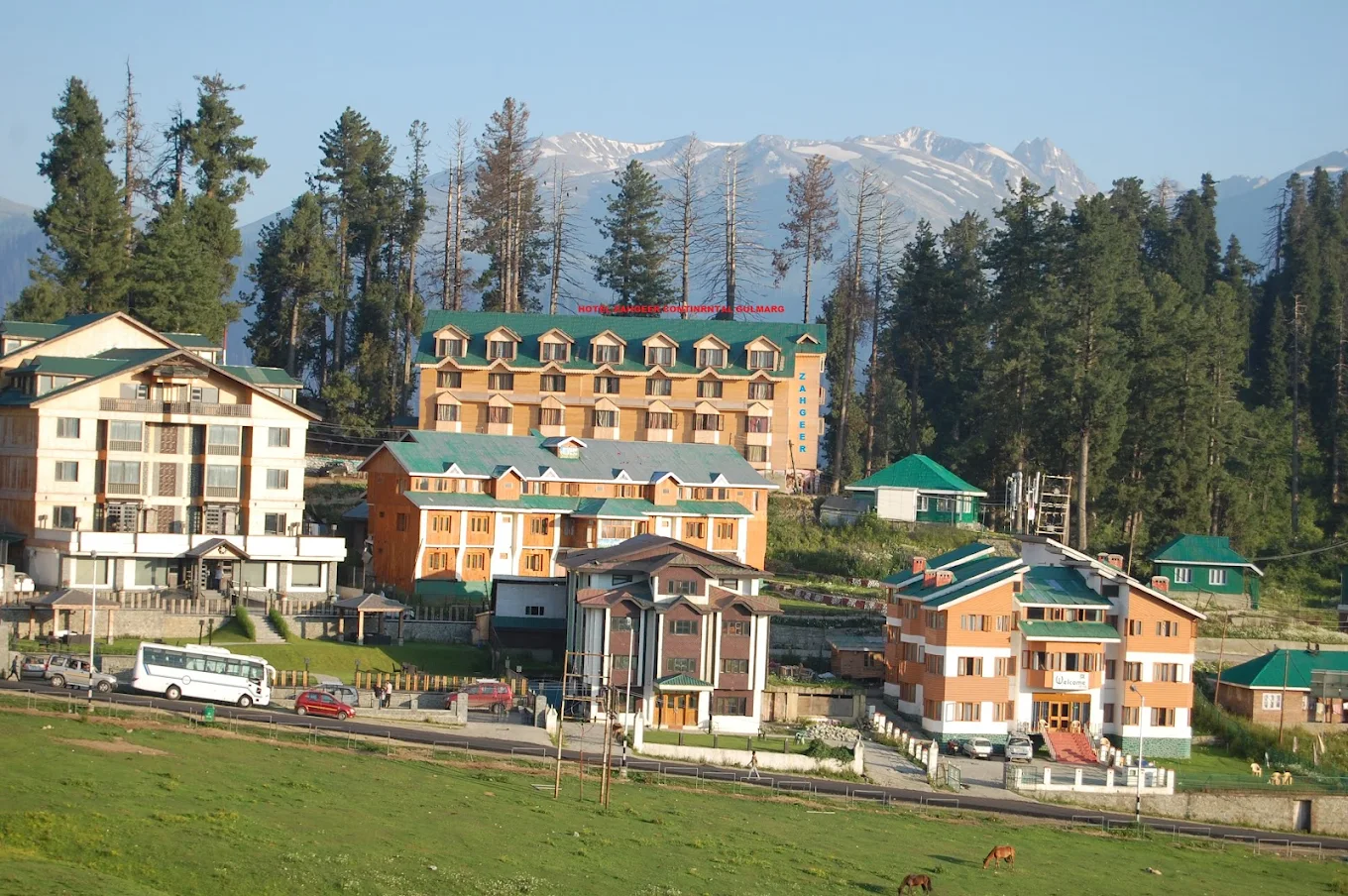 Hotel Zehgeer Gulmarg Side Image 2
