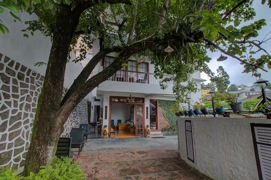 The Pear Tree Shillong